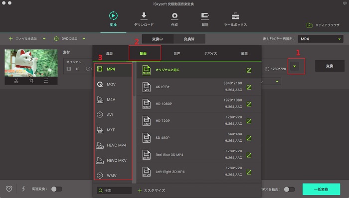 出力形式として「FLV」を選択し、DVDからFLVへ変換を始める